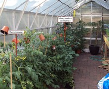 Horticulture 1