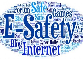 Online Risks - Safety Controls